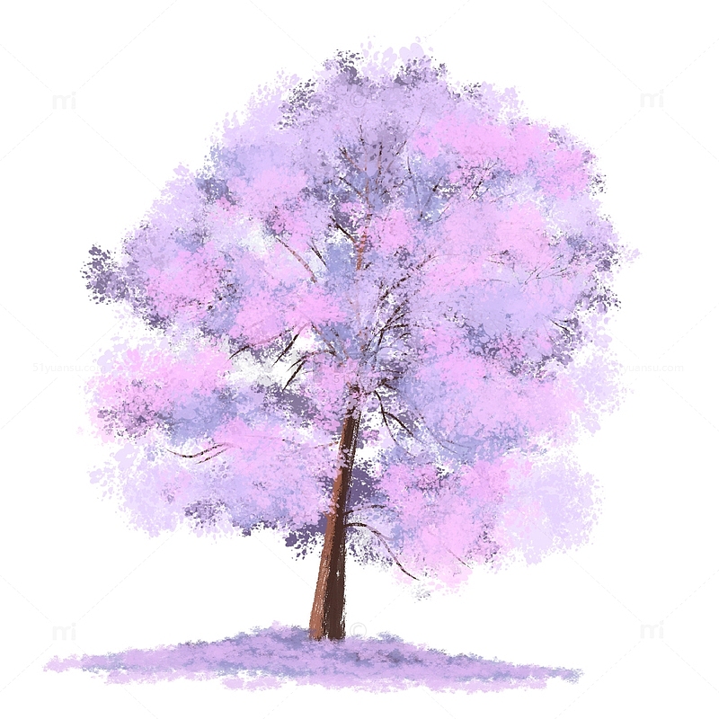 手绘紫蓝色蓝花楹树水彩扁平风花卉植物花朵