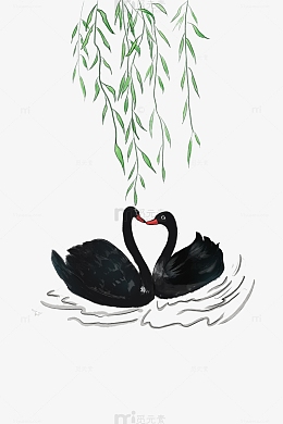 黑色小清新水彩黑天鹅