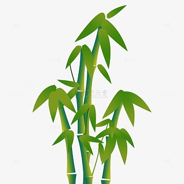 手绘插画竹子元素