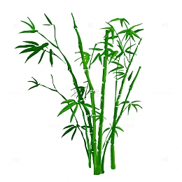 绿色竹子绿植物树林风景元素