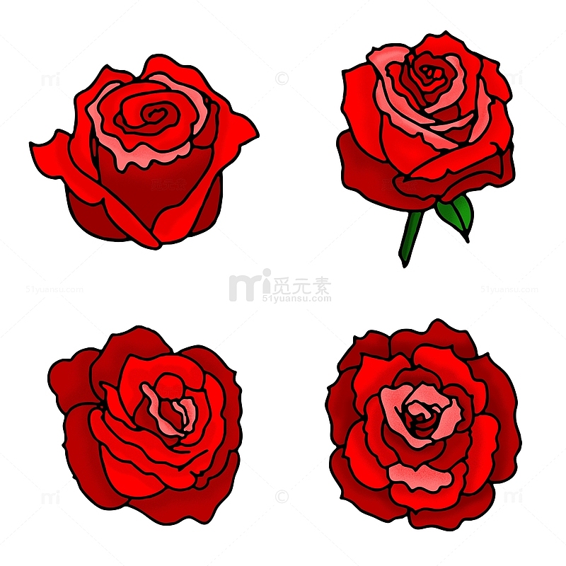 多角度红色玫瑰花花苞