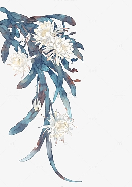 蓝色手绘古风昙花水彩装饰花卉高级灰插画