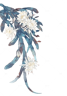 蓝色手绘古风昙花水彩装饰花卉高级灰插画