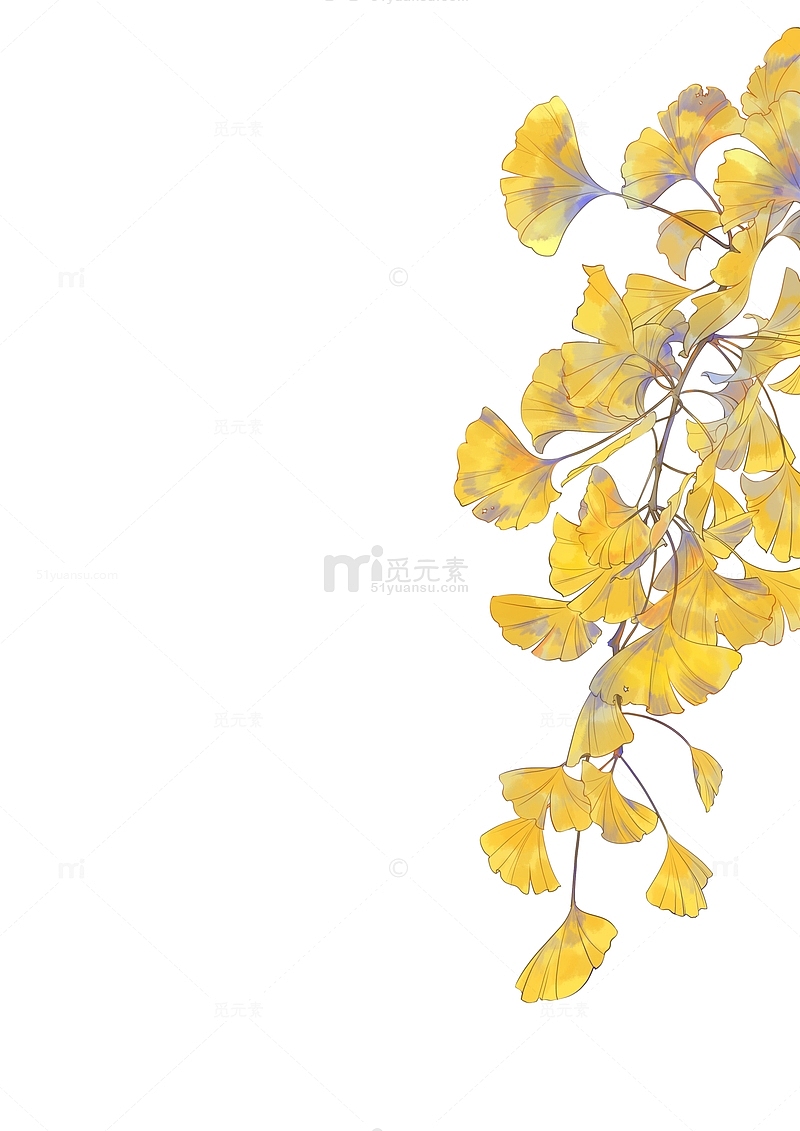 黄色水彩古风银杏叶手绘装饰插画植物