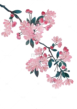 古风粉色清新手绘水彩海棠花花卉插画