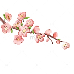 粉色调小清新春季立春花朵粉色花儿枝丫元素