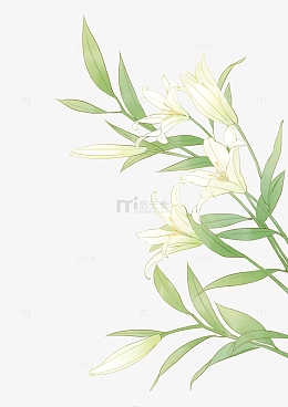 绿色小清新手绘百合花水彩淡雅植物装饰插画
