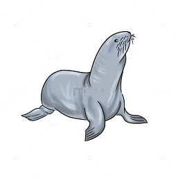 卡通动物海洋海豹手绘图