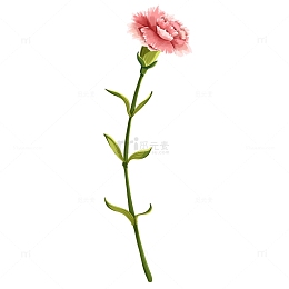 小清新春季立春万物复苏花朵一枝花元素