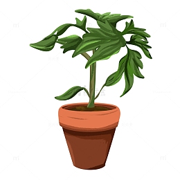 绿色手绘插画一盆植物立春花草绿芽