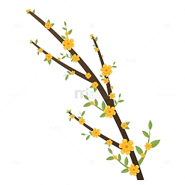 黄色迎春花卡通手绘图