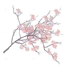 古风粉色禅意花枝手绘植物插画