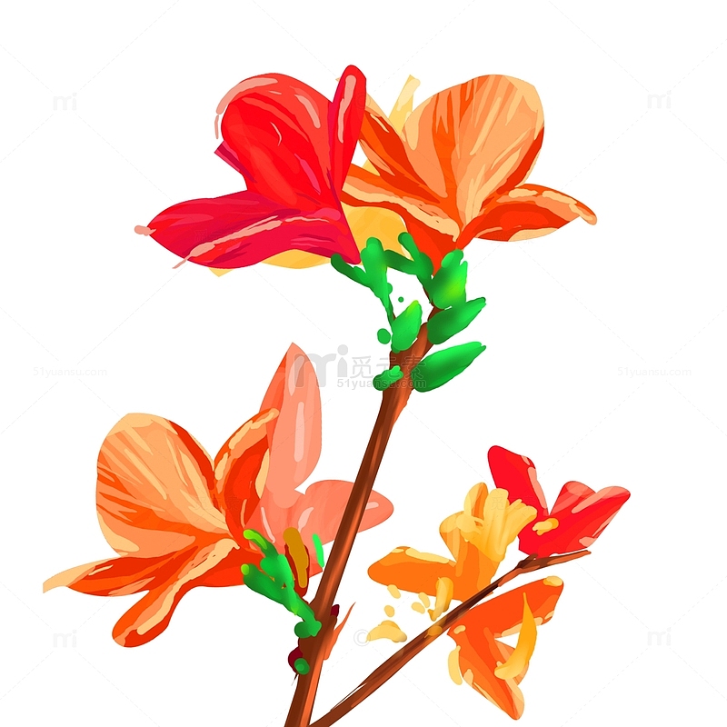 手绘插画植物花朵元素
