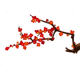 冬季梅花装饰元素