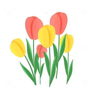 春天花朵花瓣素材