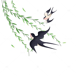 绿色春天柳叶燕子