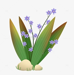 绿色植物石头花草装饰