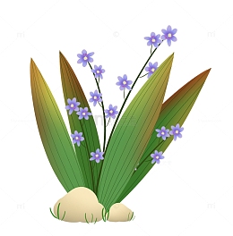 绿色植物石头花草装饰