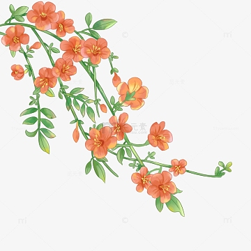 橘色水彩小清新春天凌霄花手绘元素