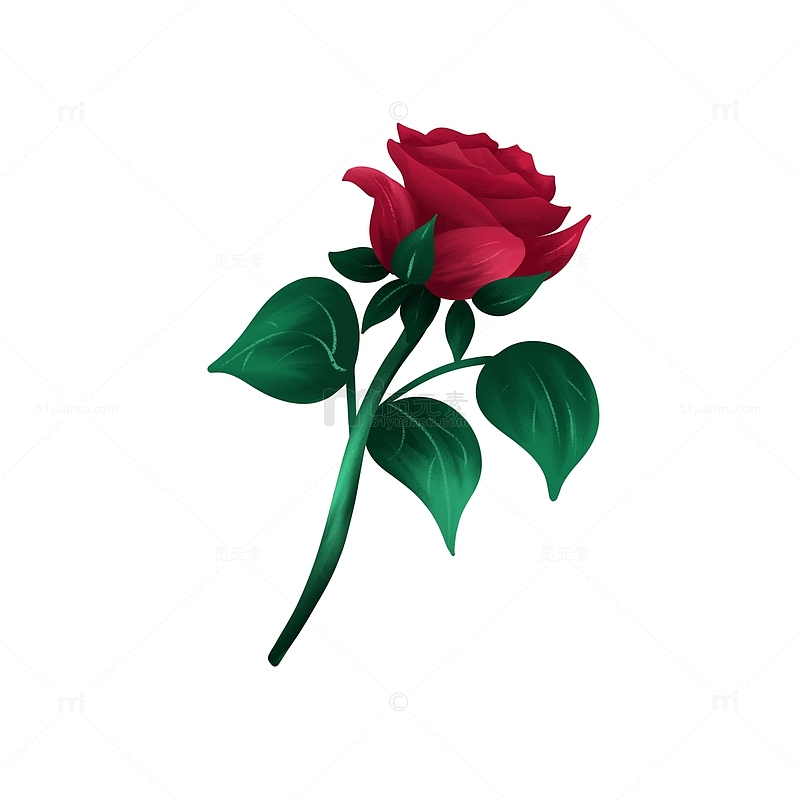 手绘红色玫瑰花浪漫质感插画元素