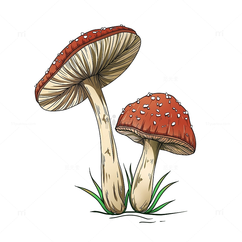 红色手绘风小蘑菇元素