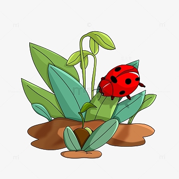 春天发芽植物草丛瓢虫昆虫卡通元素