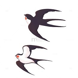 春天春分手绘燕子插画