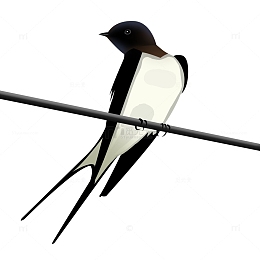 春天燕子手绘素材