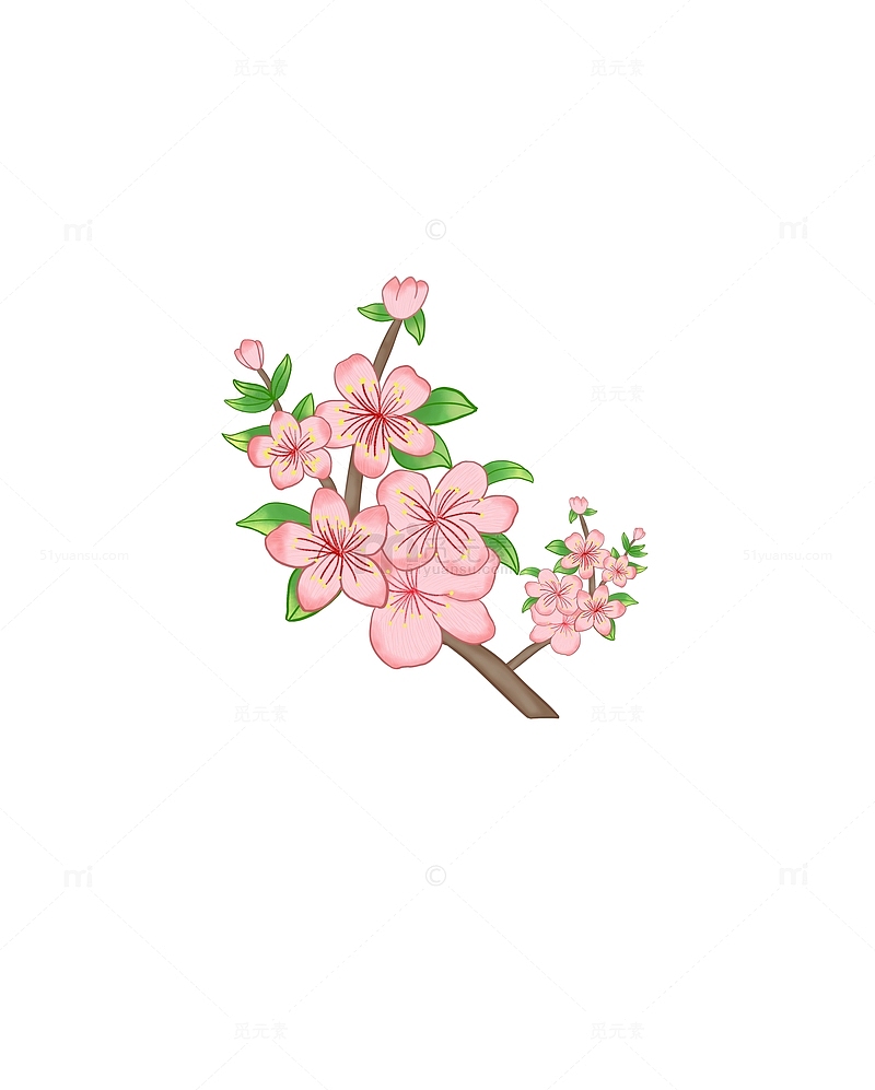 春季粉色桃花枝