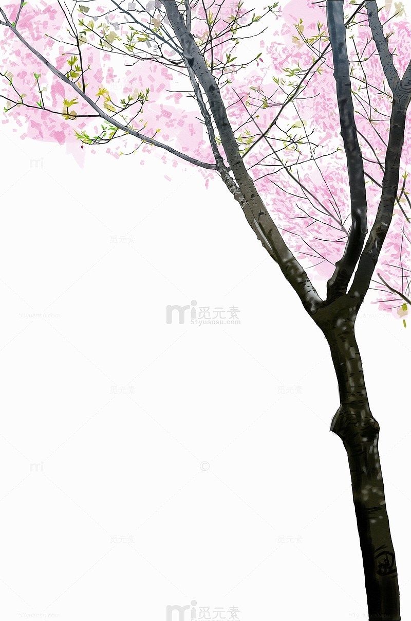 粉红小清新樱花桃花树浪漫春天踏青郊游植物