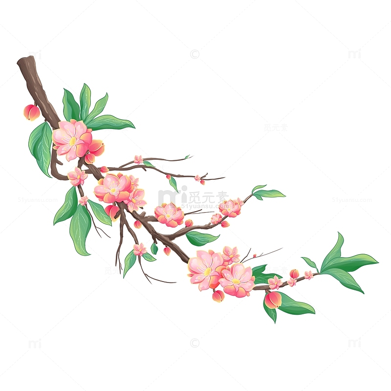 粉色小清新桃花花卉元素