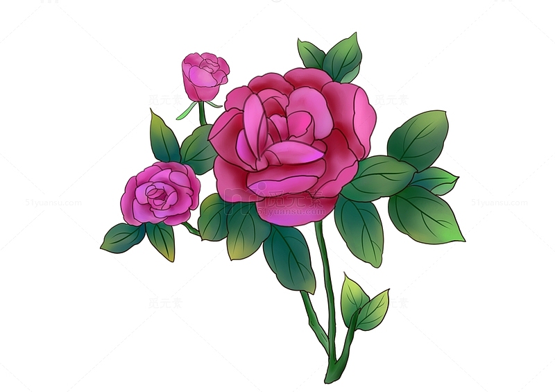 手绘情人节玫瑰花植物素材