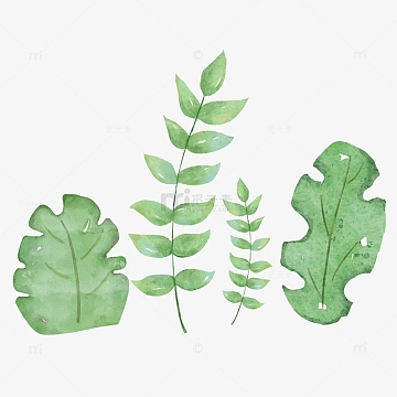 水彩风植物花卉树叶子小清新装饰