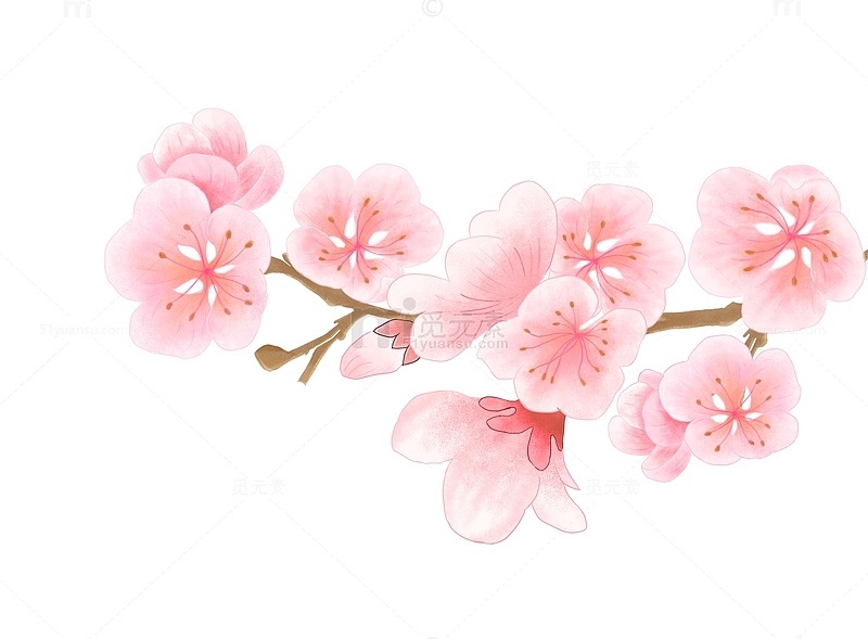 春天唯美立春树枝粉色高清手绘浪漫樱花桃花