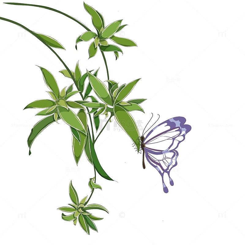绿色吊兰紫色蝴蝶春天植物发芽手绘图