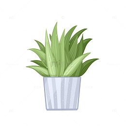 春天小清新绿色绿植盆栽花草