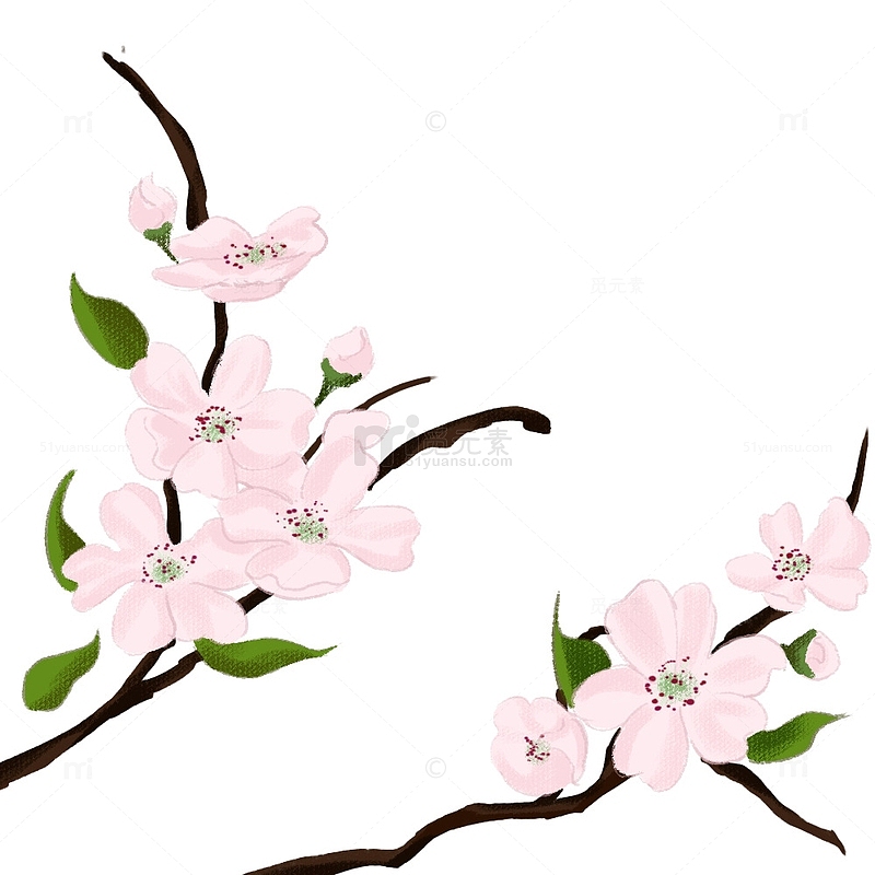 粉色古风小清新春天户外郊游手绘花朵元素图