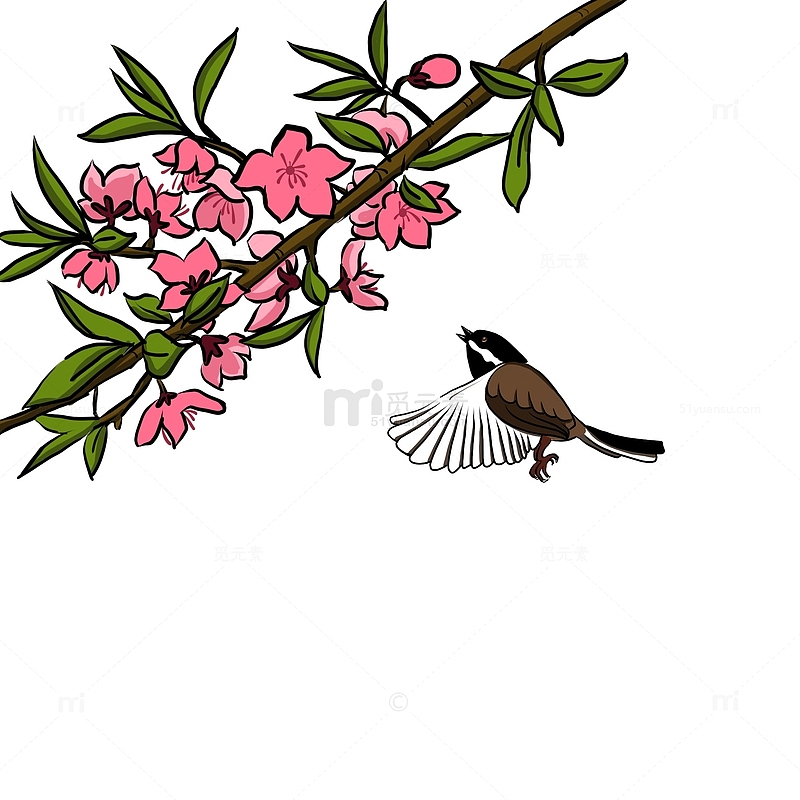 粉色花朵飞翔中的鸟渴望花蜜手绘图