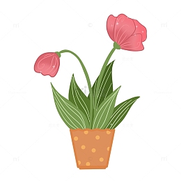 春天小清新花草盆栽花朵花盆