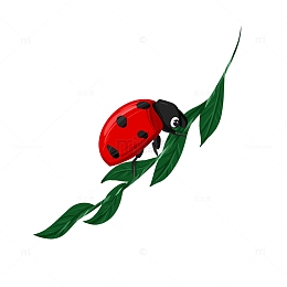 红色瓢虫手绘插画元素春天昆虫