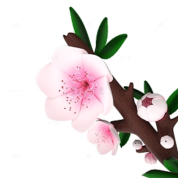 春天粉白色桃花建模