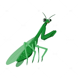 绿色手绘插画昆虫螳螂插画春天