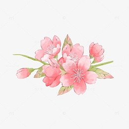 花草图片素材矢量花卉素材