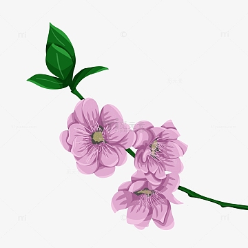 春天精品一枝桃花手绘插画元素粉色花朵