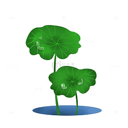 绿色小清新荷叶水滴