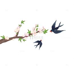 手绘二十四节气春天元素