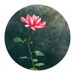 春天精品水彩玫瑰