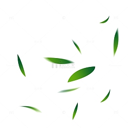 春天植物绿色叶子元素