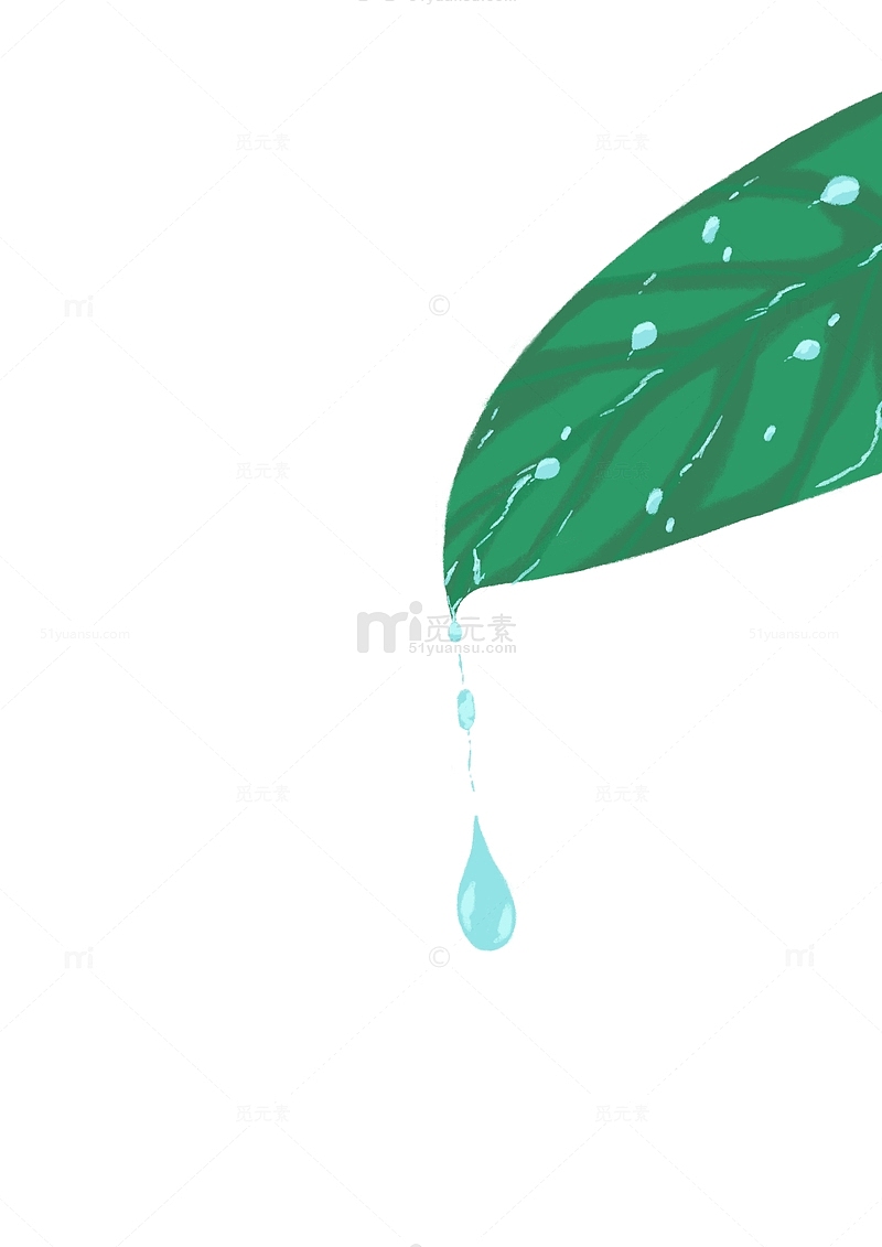 绿色小清新雨水植物插画