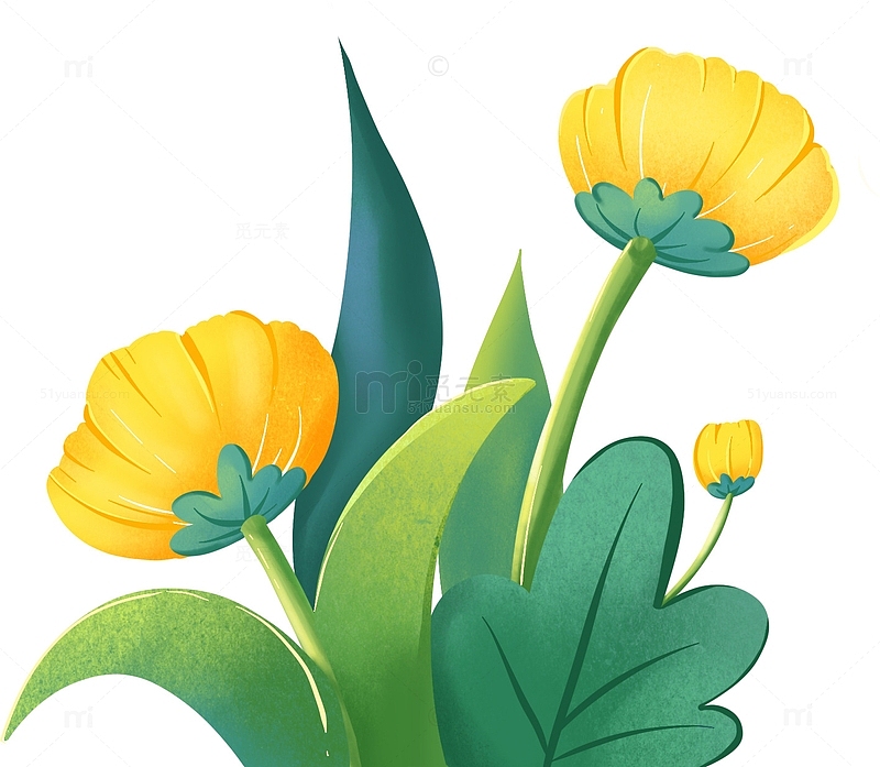 黄色手绘春天的鲜花
